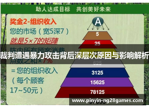 裁判遭遇暴力攻击背后深层次原因与影响解析