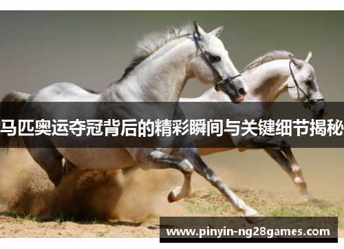 马匹奥运夺冠背后的精彩瞬间与关键细节揭秘