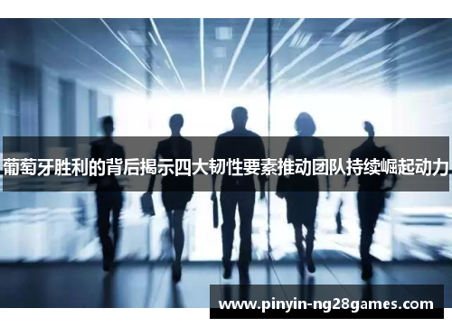 葡萄牙胜利的背后揭示四大韧性要素推动团队持续崛起动力