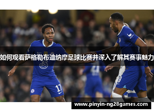 如何观看萨格勒布迪纳摩足球比赛并深入了解其赛事魅力